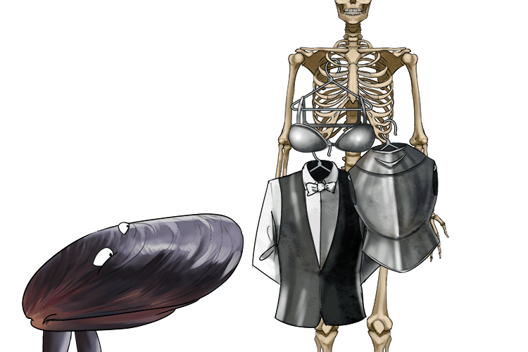 The mussel (muscle) was into costumes made of metal (intercostal) and hangs them all between the ribs of his skeleton in the room